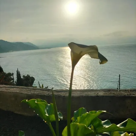 Appartamento Un Mare Di Fiori Ventimiglia Exterior photo