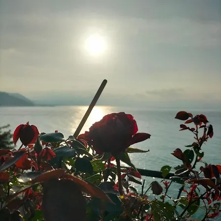 Appartamento Un Mare Di Fiori Ventimiglia Exterior photo