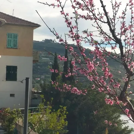 Appartamento Un Mare Di Fiori Ventimiglia Exterior photo
