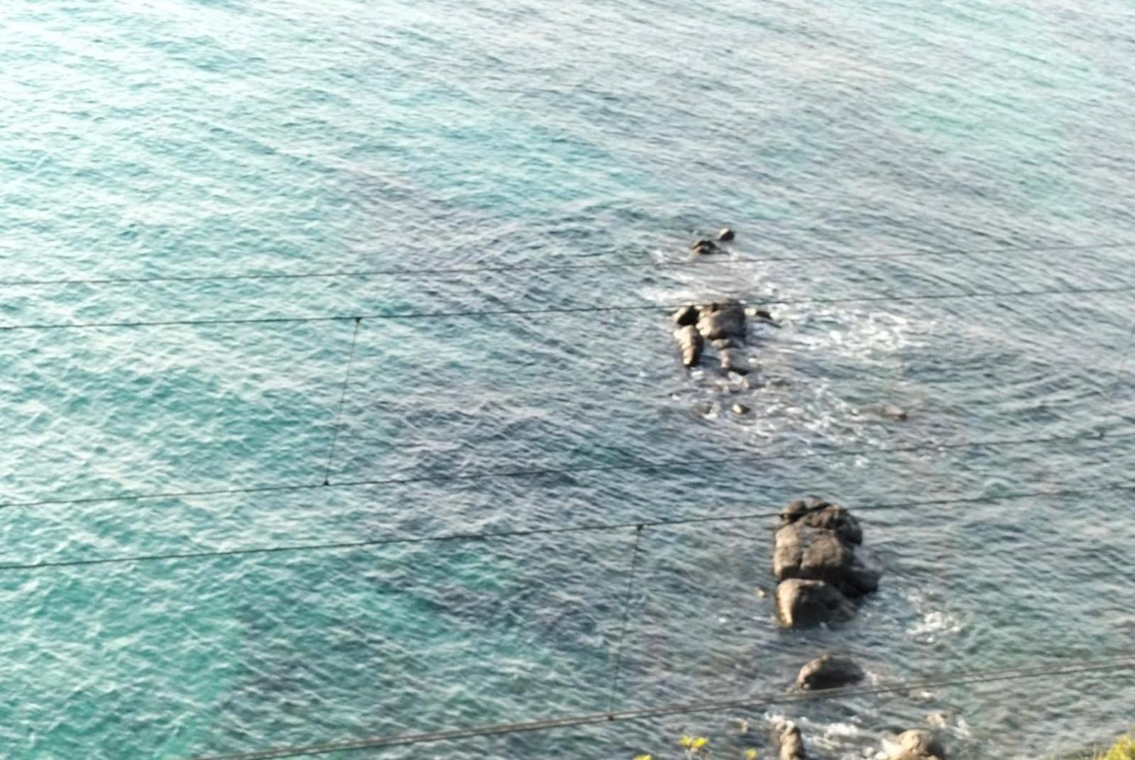 Un Mare Di Fiori * Ventimiglia