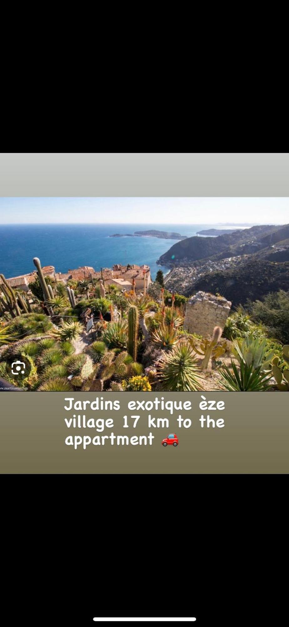 Un Mare Di Fiori Apartment