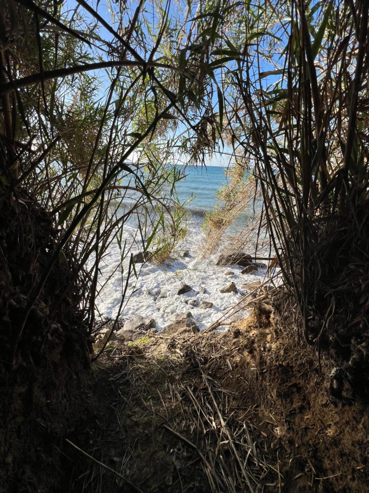 Un Mare Di Fiori * Ventimiglia