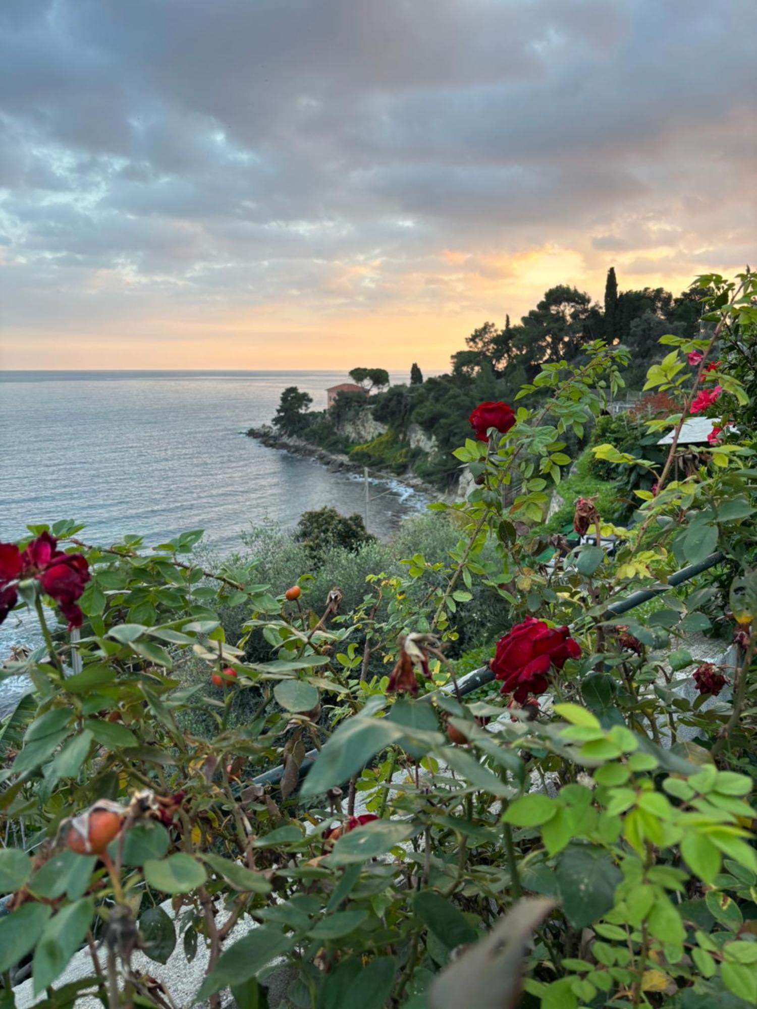 Un Mare Di Fiori